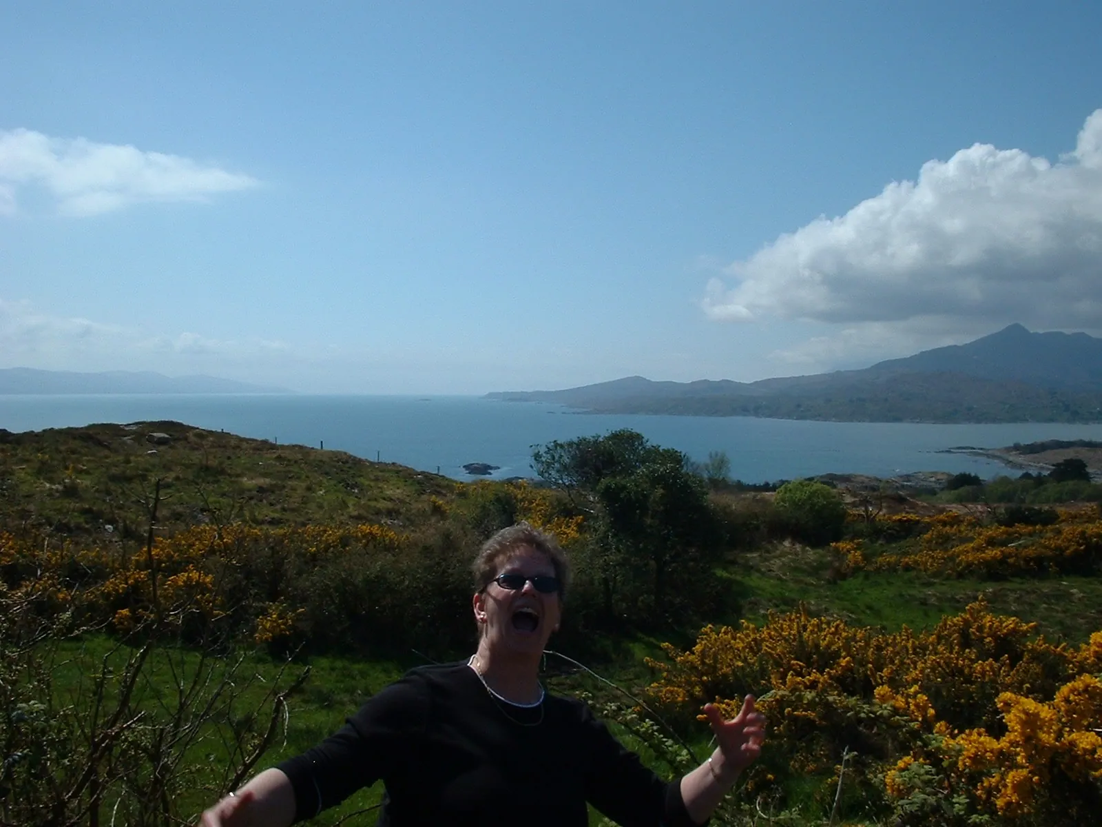 Falling into bantry bay